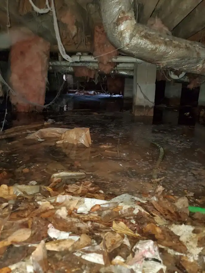 Crawl space flood assessment for Commercial Water Damage Restoration in North Palm Beach